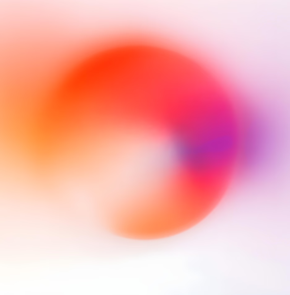 Smart Traveler Segments